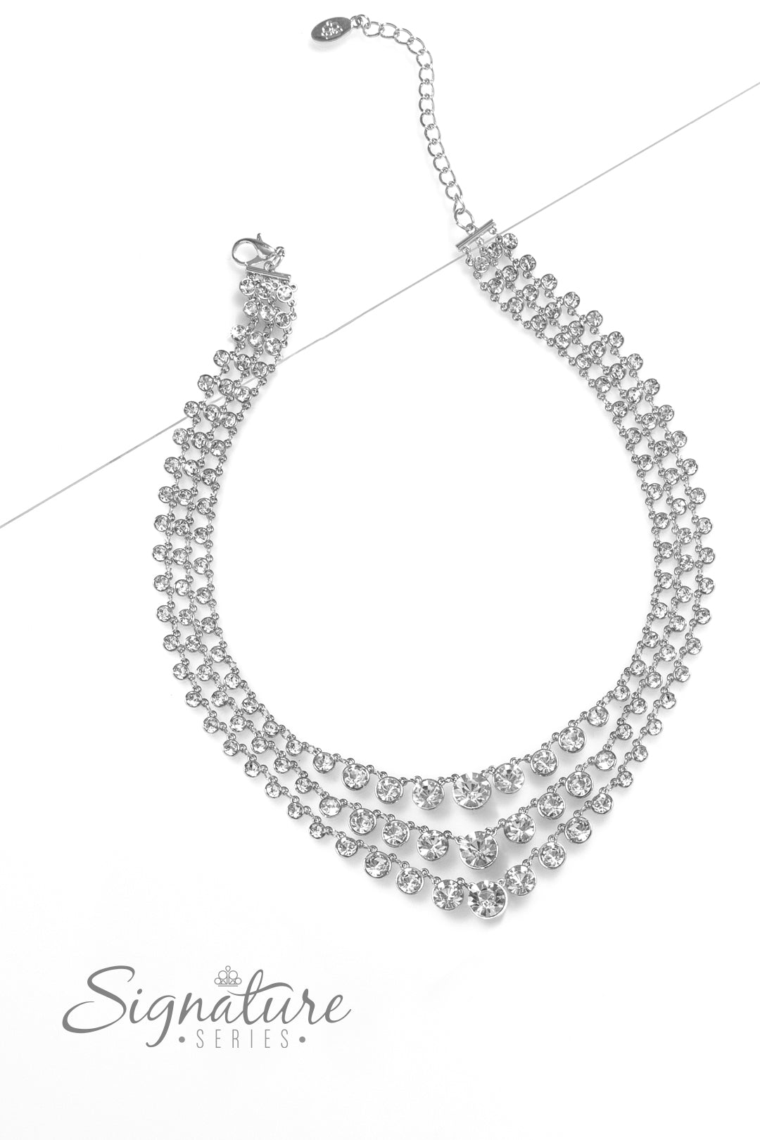 The Dana 2023 Zi Signature Collection Necklace - Paparazzi Accessories- lightbox - CarasShop.com - $5 Jewelry by Cara Jewels